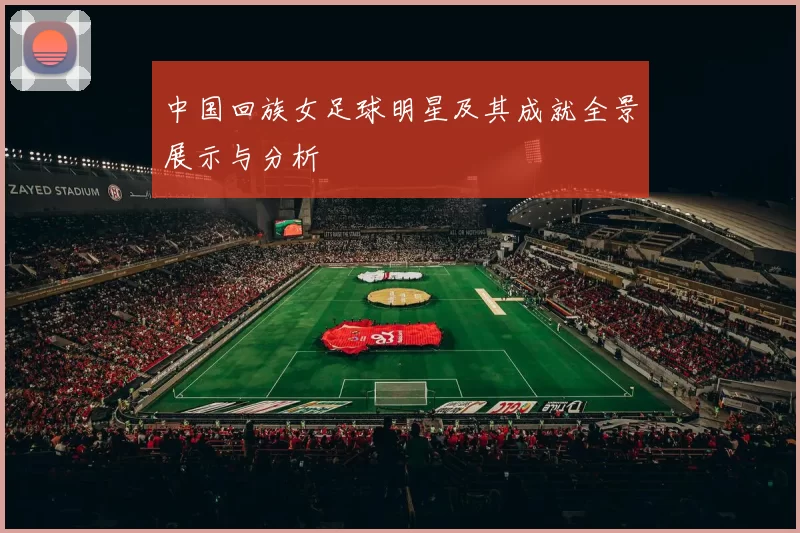 中国回族女足球明星及其成就全景展示与分析